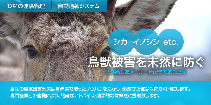 鳥獣被害対策