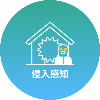侵入感知